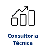 Servicio de consultoría IT y asesoramiento tecnológico